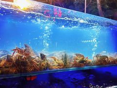 -羊家胡同·龙虾烧烤火锅(龙汇路店)