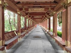 -江西龙虎山景区
