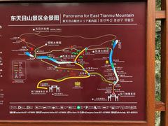 -东天目山风景区