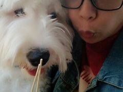 -品腐记·豆腐王朝(老门东总店)