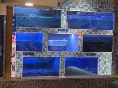 -大河宴椒麻鱼(嘉和园店)