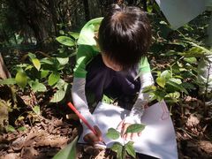 -宾果蒙特梭利托育儿童之家幼儿园(爱琴海店)