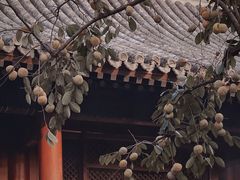 -雍和宫