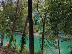 -广州市流溪河国家森林公园