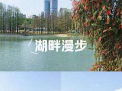 -四海公园(南山区)