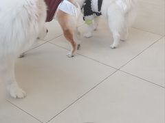 -怪兽屋·羊驼·猫咖·狗咖(俊华广场店)