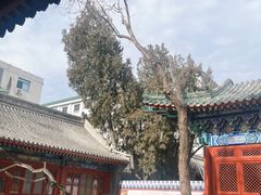 -护国寺小吃(地安门店)