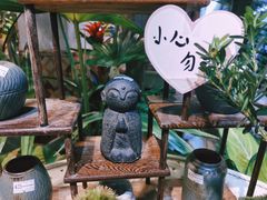 -溪岸路花鸟市场