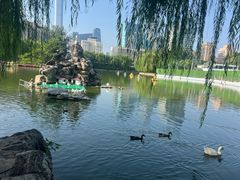 -团结湖公园