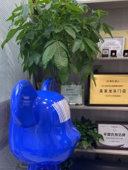 -DK SALON连锁专业烫染接发店
