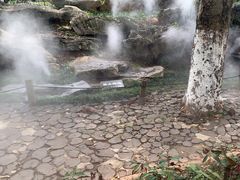 -东莞植物园