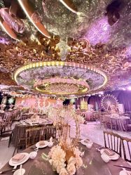 -花嫁丽舍婚礼殿堂(世博江景店)
