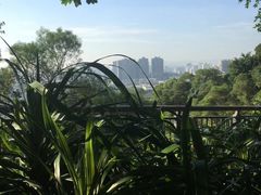 -金鸡山公园