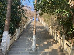 -石老人观光园