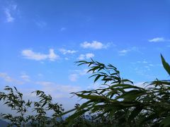 -武陵山森林公园