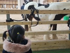 -迪卡侬(安德门店)