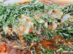 -老字号怡玺·藿香雅鱼(20年雅安店)