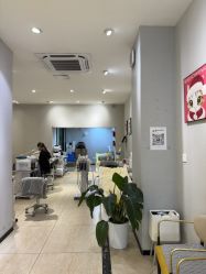 -洗脸猫·洗脸吧