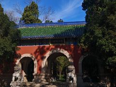 -灵谷景区