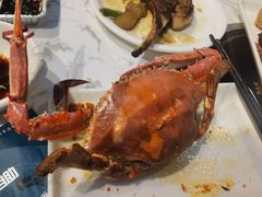 -半岛听涛蒸汽海鲜自助(K11店)