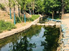 -白水寺森林公园