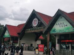 -上海海湾国家森林公园