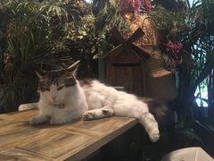 -小时光咖啡馆(北锣鼓巷店)