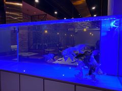 -黄鱼炙夜(华家池店)