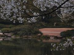 -杭州植物园