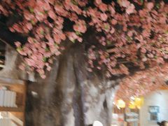 -黄家码头老火锅(解放碑旗舰店)
