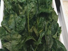 -钱小奴创意自助餐厅·原切谷饲安格斯畅吃(宁波慈溪爱琴海店)