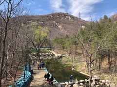 -白水寺森林公园