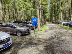 -黄海国家森林公园