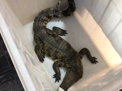 -丰卓会海鲜自助(中润大道店)