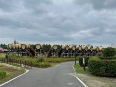 -东平国家森林公园