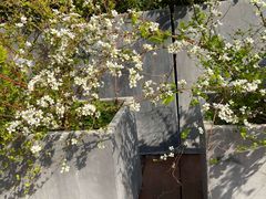 -艾溪湖湿地公园