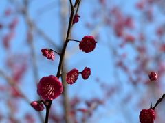 -白塘生态植物园