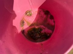 -东戴河风景区-止锚湾