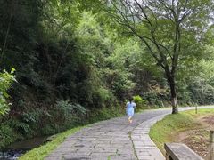 -常德桃花源景区