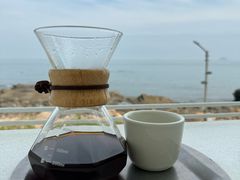 -致璞ZHIPU Rolling on(青岛极地店)