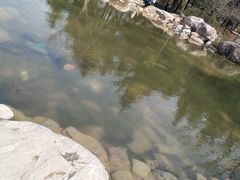 -郑州植物园