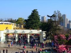-昆明动物园