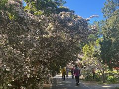 -国家植物园南园