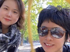-三里屯东五街银杏大道