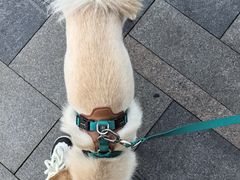 -簋街