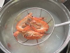 -蚝专家
