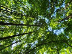 -桤木河湿地公园