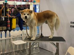 -东浩兰生上海世博展览馆