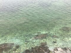 -乐天拉面(桃花街店)