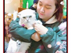 -李小姐の猫咖啡馆(五角场店)
